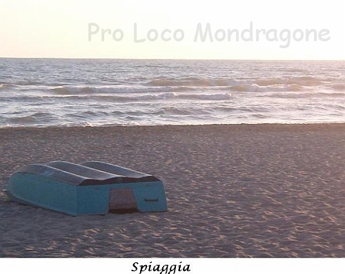 Mare.jpg